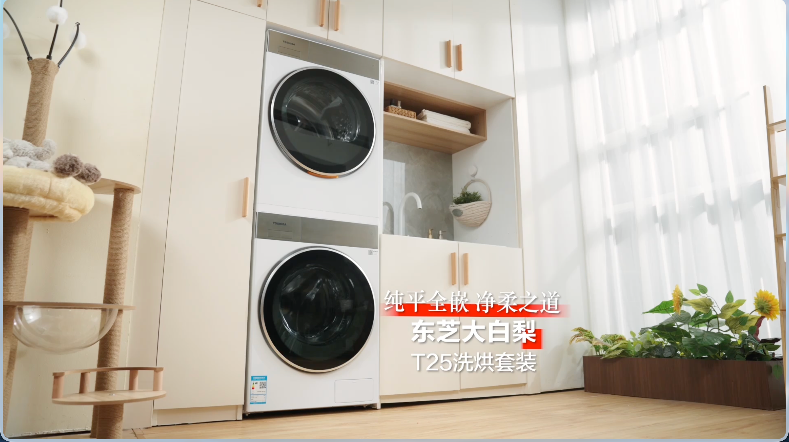 东芝大白梨