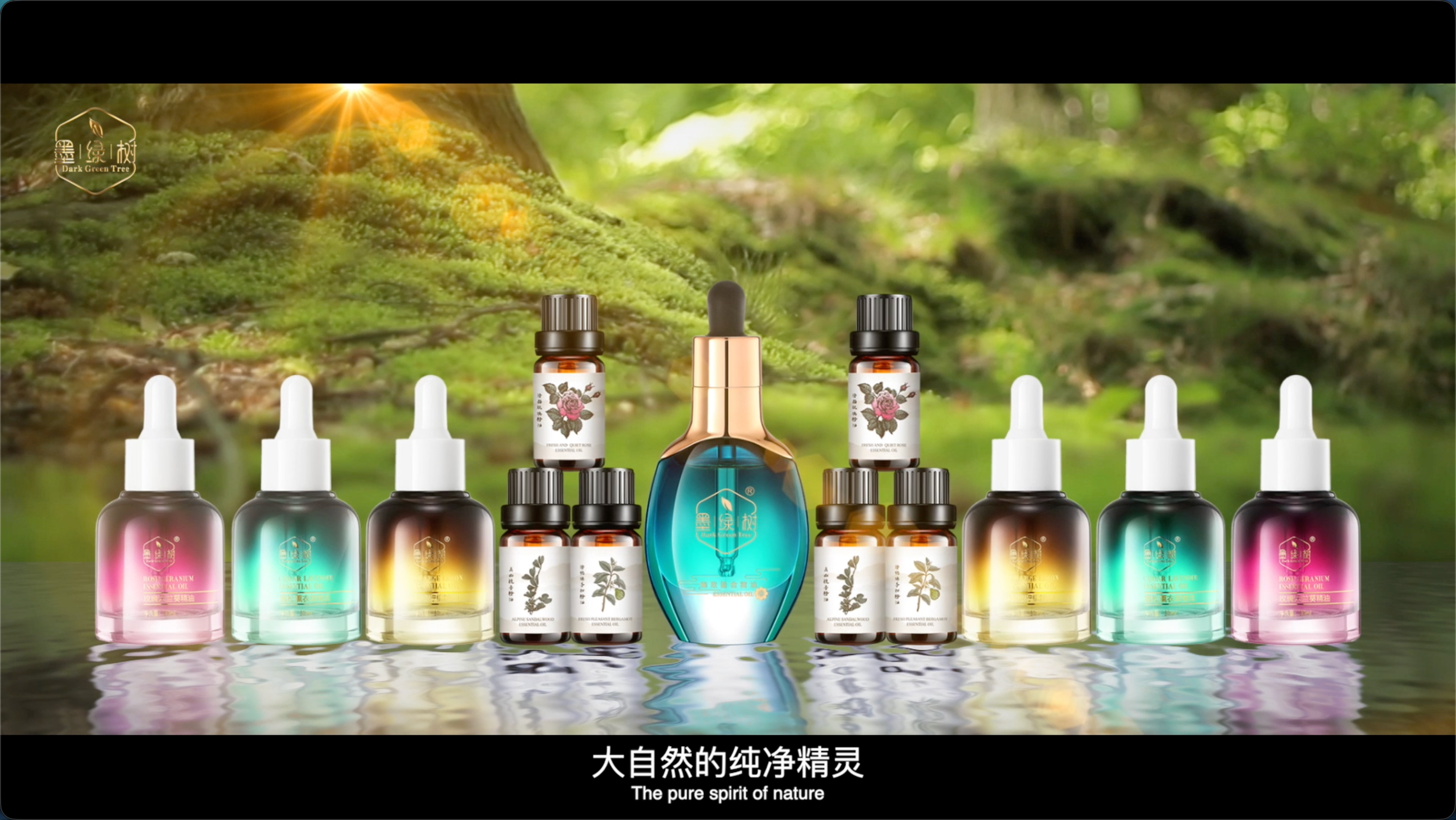 泰丝娜墨绿树品牌片